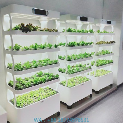 Home Automation System Diy - Hydroponic Automated Grow SystemIntelligent Hydroponic Growing