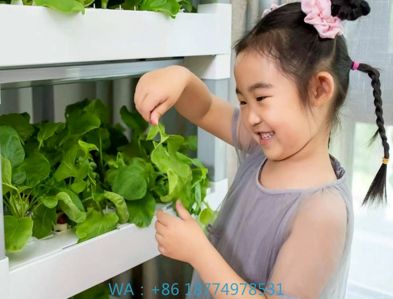 nt China Hydrokultur Grow Box  - đánh giá và giá Home Automation Systems Diy