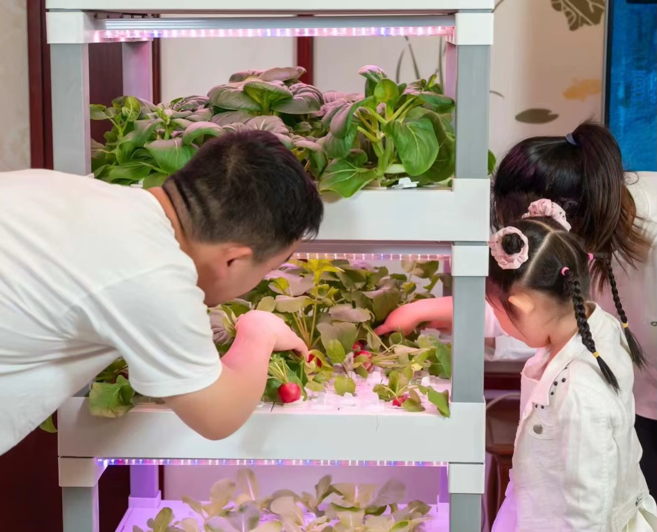 nt China Hydrokultur Grow Box  - đánh giá và giá Home Automation Systems Diy