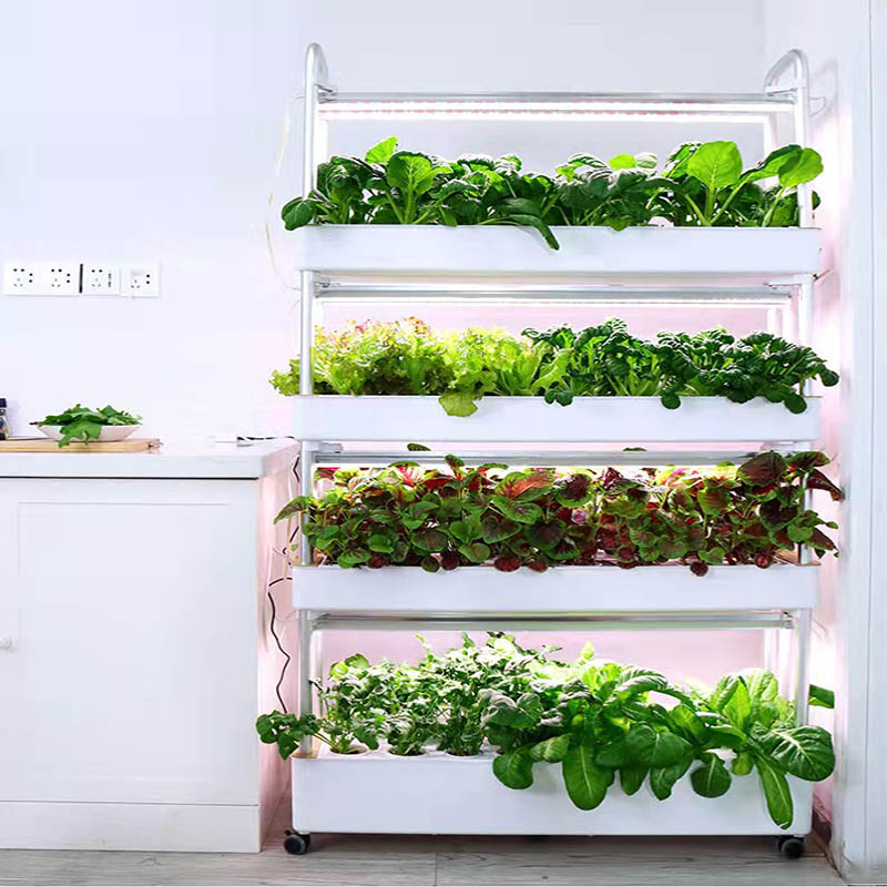 ydroponic Planting System Smar - đánh giá và giá Home Automation Systems Diy