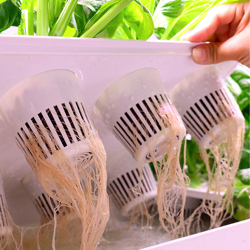 ydroponic Planting System Smar - đánh giá và giá Home Automation Systems Diy