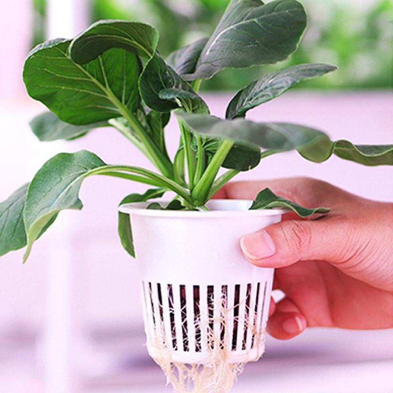 ydroponic Planting System Smar - đánh giá và giá Home Automation Systems Diy